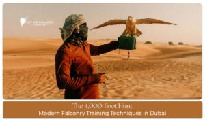 Falconry Training Techniques in Dubai featuring traditional falcon handling, expert training methods, and desert heritage