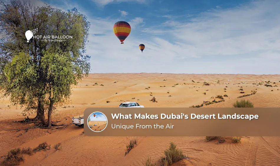 Dubai desert landscape viewed from the air.